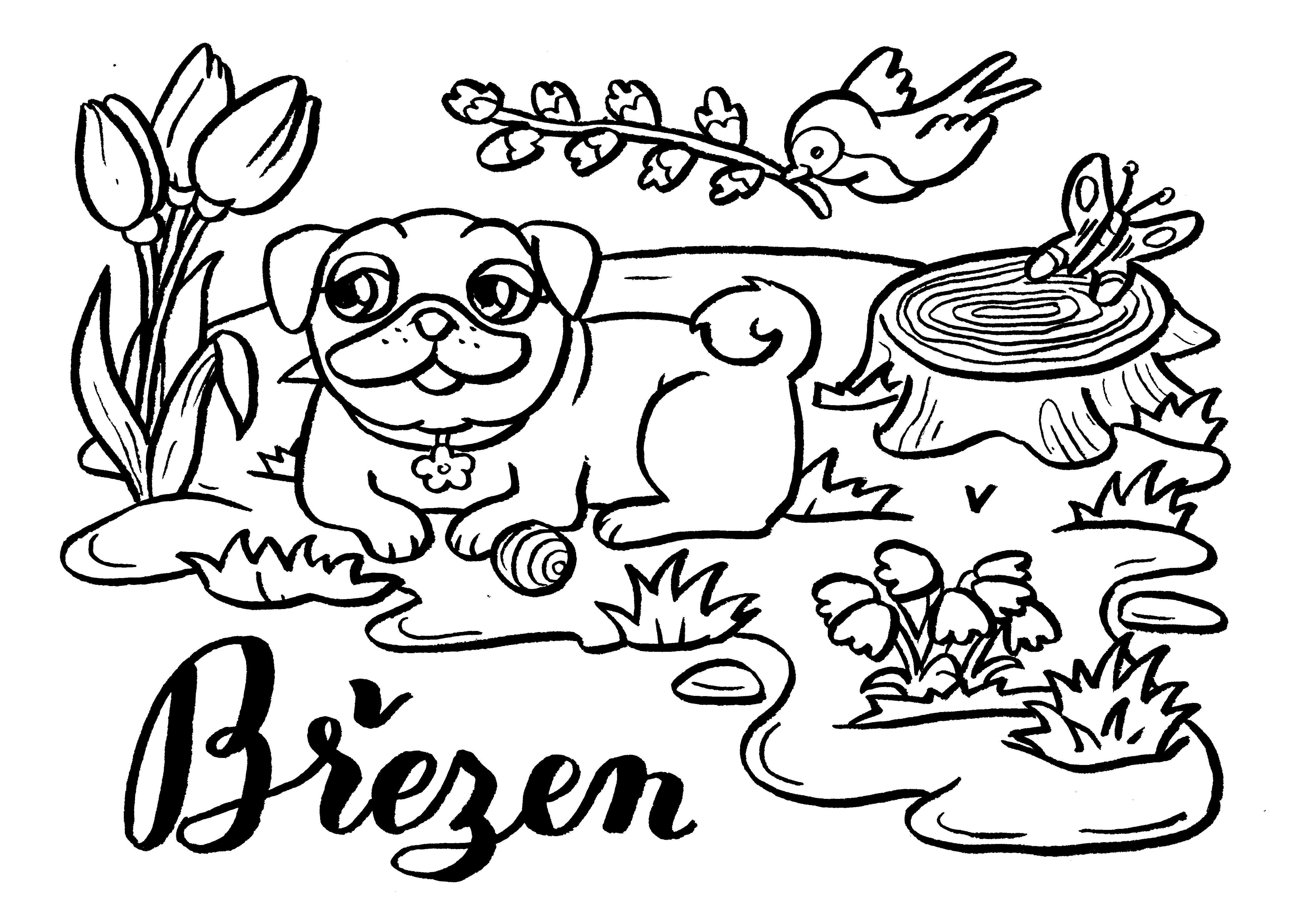 Mopsolovánka - březen